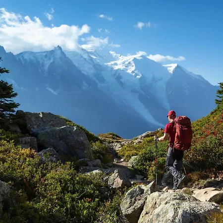 Apt. La Larze 58 * Chamonix